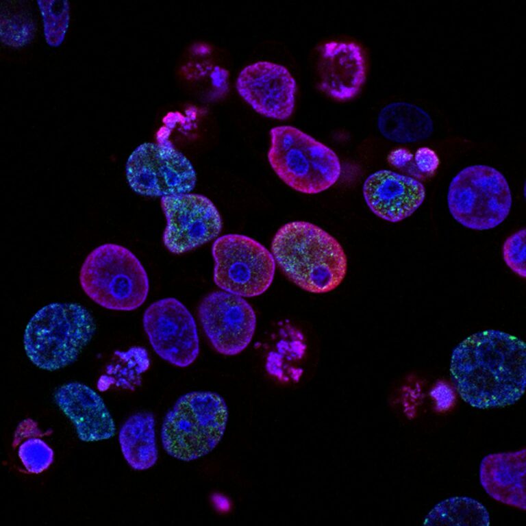 AI Designed 16 Working Viruses. Now What?
